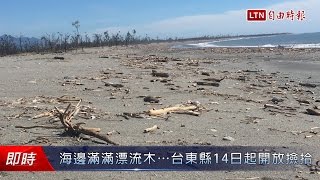 海邊滿滿漂流木…台東縣14日起開放撿拾