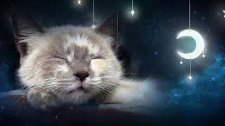 Relaxing Lullaby For Cat And Kitten 🐱💤 With Cat Purring Sounds - Cat Music - 1 Hour