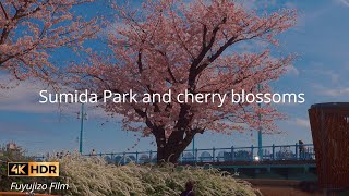 【4K】隅田公園の桜 Sumida Park and cherry blossoms in Tokyo Japan 2022