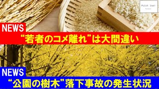 #ニュース 「“若者のコメ離れ”は大間違い、コメを食べない高齢者」「“公園の樹木”落下事故の発生状況など初調査」 【 #Podcast 『パイロット・ジャム』#300】