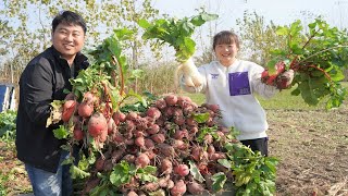 苏北农村秘制萝卜干做法，香辣爽脆，一次做两百斤，越吃越想吃