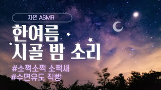 [자연 속 ASMR] 한 여름 밤 시골의 소리 ⭐︎A summer night country ASMR