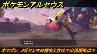 ポケモンアルセウス　オヤブン　メガヤンマの捕まえ方は？出現場所は？　＃４０７　【Pokémon LEGENDS アルセウス】