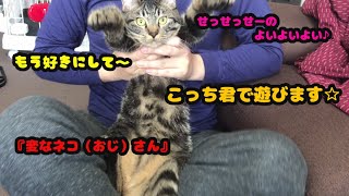 【ちっちこっち】飼い主にされるがままのネコが可愛すぎる