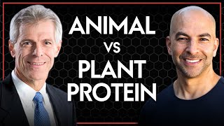Animal protein vs. plant protein: determining quality and bioavailability | Peter Attia