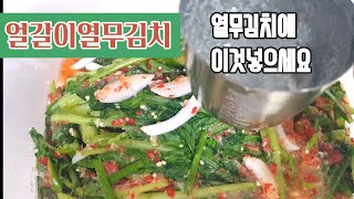 시원한국물이 끝내주는 강원도식 열무얼갈이 김치! 비밀은 바로~~~~~이것