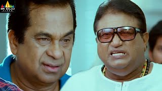 Latest Telugu Scenes | Naayak Movie Brahmanandam and JP Comedy | Ram Charan @SriBalajiMovies