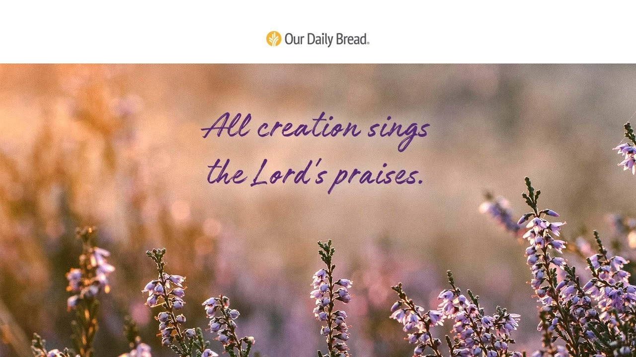 Imaginative Faith Audio Reading Our Daily Bread Devotional