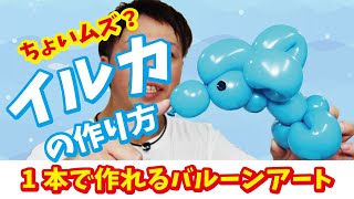 How to make a Dolphin 【Balloon Art】/ 【バルーンアート】イルカの作り方