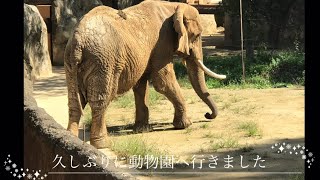 久しぶりに動物園　八木山動物園　2024年春の思い出　『宮城観光』