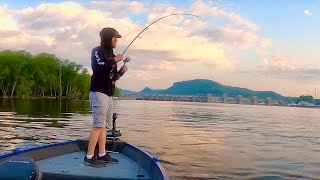 Nonstop Topwater White Bass Action on a Mississippi River Wingdam