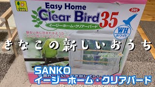 【文鳥】きなこの新しいおうち！Javasparrow Kinako's New House!!【旧チャンネル動画】