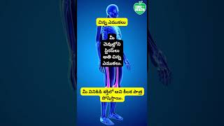 చిన్న ఎముకలు /Small Bones #healthsecrets #health #expertdoctors