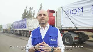 IOM Reporter Gaza