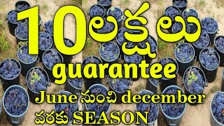 Bangalore నుంచి, మంచి business idea/New Business Ideas in Telugu 2023