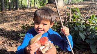 เก็บเห็ดหลังบ้านกับลูกชาย ทั้งหมานทั้งฮา 🤣🍄🍄