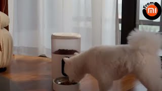 Xiaomi Aqara C1 Smart Pet Feeder. Apply if you have any problems or questions.