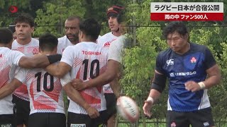 【速報】ラグビー日本が合宿公開 雨の中、ファン500人