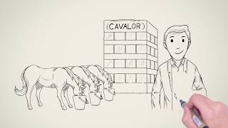 Cavalor - 30 years