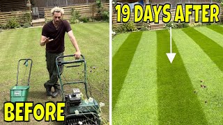 Just Do This To Get a NICE LAWN. It's EASY