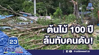 ลมแรง ต้นไม้ 100 ปี ล้มทับคนดับ 3 ศพ l ด่วนข่าวเที่ยง l 30 พ.ย. 2564