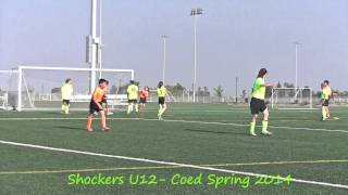 MYSA SPRING LEAGUE 2014