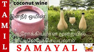 ஆரோக்கியமான முறையில் இளநீர் ஒயின் வீட்டிலேயே செய்யலாம்/how to make coconut wine /elaneer wine