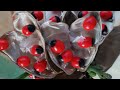 గురువింద గింజల లాభాలు ఎందుకు వాడుతారు rosary pea advantages and usages..