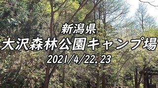 【ソロキャンプ】2021/4/22.23 新潟県 大沢森林公園キャンプ場