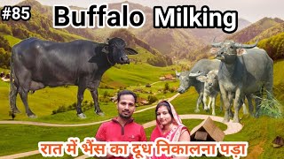 🐃 Buffalo Milking By Hand 🙂 | Renu Jeetu Vlogs