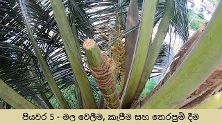 පියවර 5 - මල වෙලීම, කැපීම සහ තෙරපුම් දීම | Dahara by Pathum