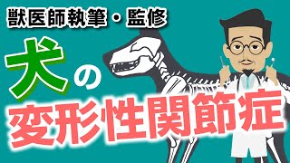 犬の変形性関節症【獣医師執筆監修】症状・原因・好発品種・予防方法・治療方法