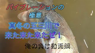 【五三川】真冬のバイブはこう使え！＃五三川バス釣り