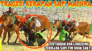 Tragedi Kerapan Sapi Madura,Tertabrak Dan Langsung Terinjak Sapi Tim Anak Sakti.