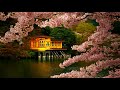 zen meditation music japanese flute music relax meditation sleep ambience