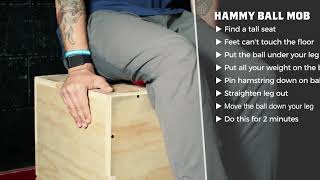 Hamstring Mobilization with LAX Ball