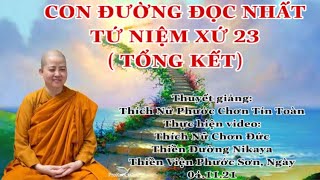 TỨ NIỆM XỨ 23- Chơn Tín Toàn