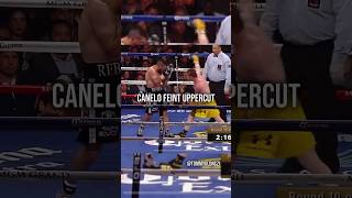 Canelo Deadly Feint Uppercut