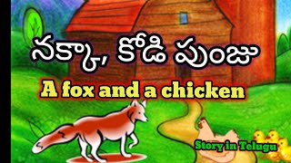 నక్కా, కోడి పుంజు | A fox and a chicken | @Bollywoodcats | comedy stories Meow meow billi