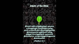 கடவுள் உங்கள் மீது வைத்திருக்கும் திட்டம் 👌🏻💥 #tamilchristianmessage #dailydevotional #motivation