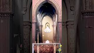 #Shorts #OurLadyof Angels of Toulouse, Notre-Dame des Anges de Toulouse, Cathédrale Saint-Étienne