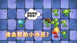 植物大战僵尸：当小冰豆无助的时候，谁愿意来帮助他救爸爸？