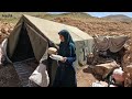 a nomadic woman cooks buttermilk rice with a rare plant in the snowy mountains