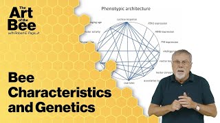 EPISODE 5 PHENOTYPIC AND GENETIC ARCHITECTURES