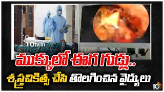 ముక్కులో ఈగ గుడ్లు.. శస్త్రచికిత్స చేసి తొలగించిన వైద్యులు|Doctors Removed Fly Eggs From Women Nose