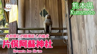 【狛犬・片俣阿蘇神社】阿蘇・大分県竹田市との県境近くの神社