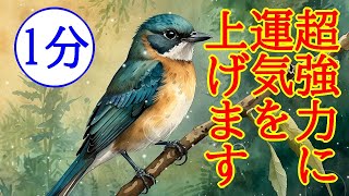 【最速運気アップ】即効で全ての運気を強力に上げる超開運波動417Hzのおまじないヒーリング