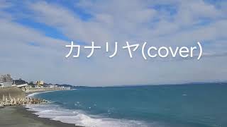 カナリヤ　米津玄師/STRAY SHEEP (女性cover)