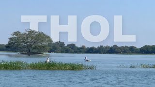 Thol Bird Sanctuary Gujarat | Travel VloglAhmedabad To Thol Bird Sanctuary | the meet rancharda