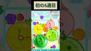 【スイカゲーム】念願の20000点達成！！！ #スイカゲーム #おすすめにのりたい #shorts